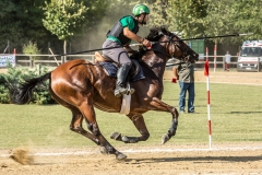 Tappa Finale Torneo Giostre Medioevali 2016