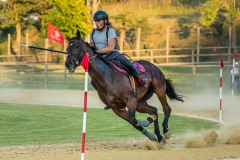 Tappa Finale Torneo Giostre Medioevali 2016