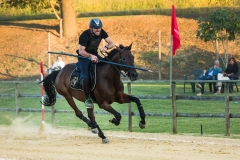 Tappa Finale Torneo Giostre Medioevali 2016