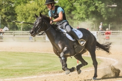 Tappa Finale Torneo Giostre Medioevali 2016