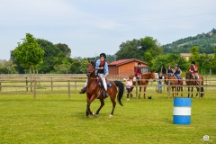 scuola-equitazione-1-6