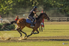 torneo-giostre-medioevali-2017-5a-tappa-25