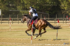 torneo-giostre-medioevali-2017-5a-tappa-27